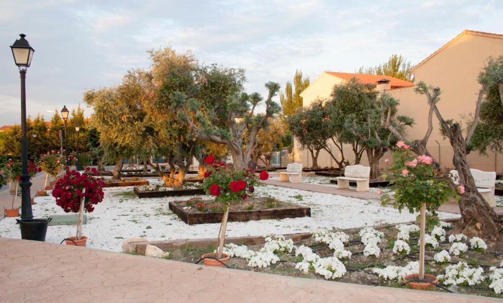 Las Olivas- Borox Sesena Nuevo Exterior photo